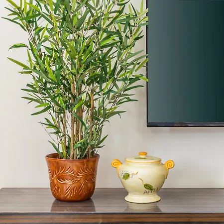 Seafront In Ta'xbiex